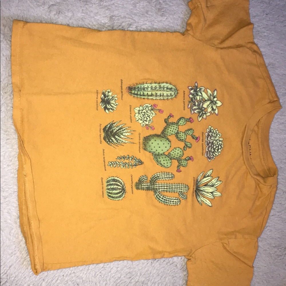 Medium crop top